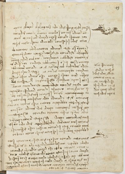 Código sobre el vuelo de los pájaros, c. 1505-06, manuscrito en papel, cc. 18, hoja 13 recto de Leonardo da Vinci